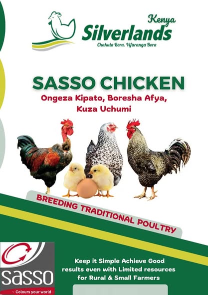 SASSO Chicken