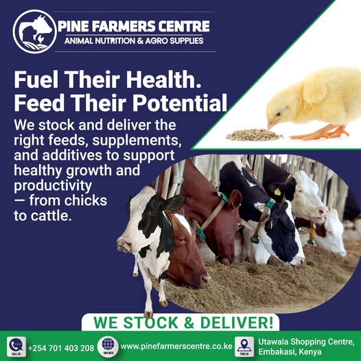 Fuel Animal Health and Feed Their Potential