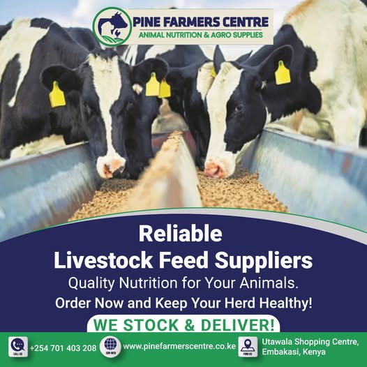 Reliable livestock feed suppliers